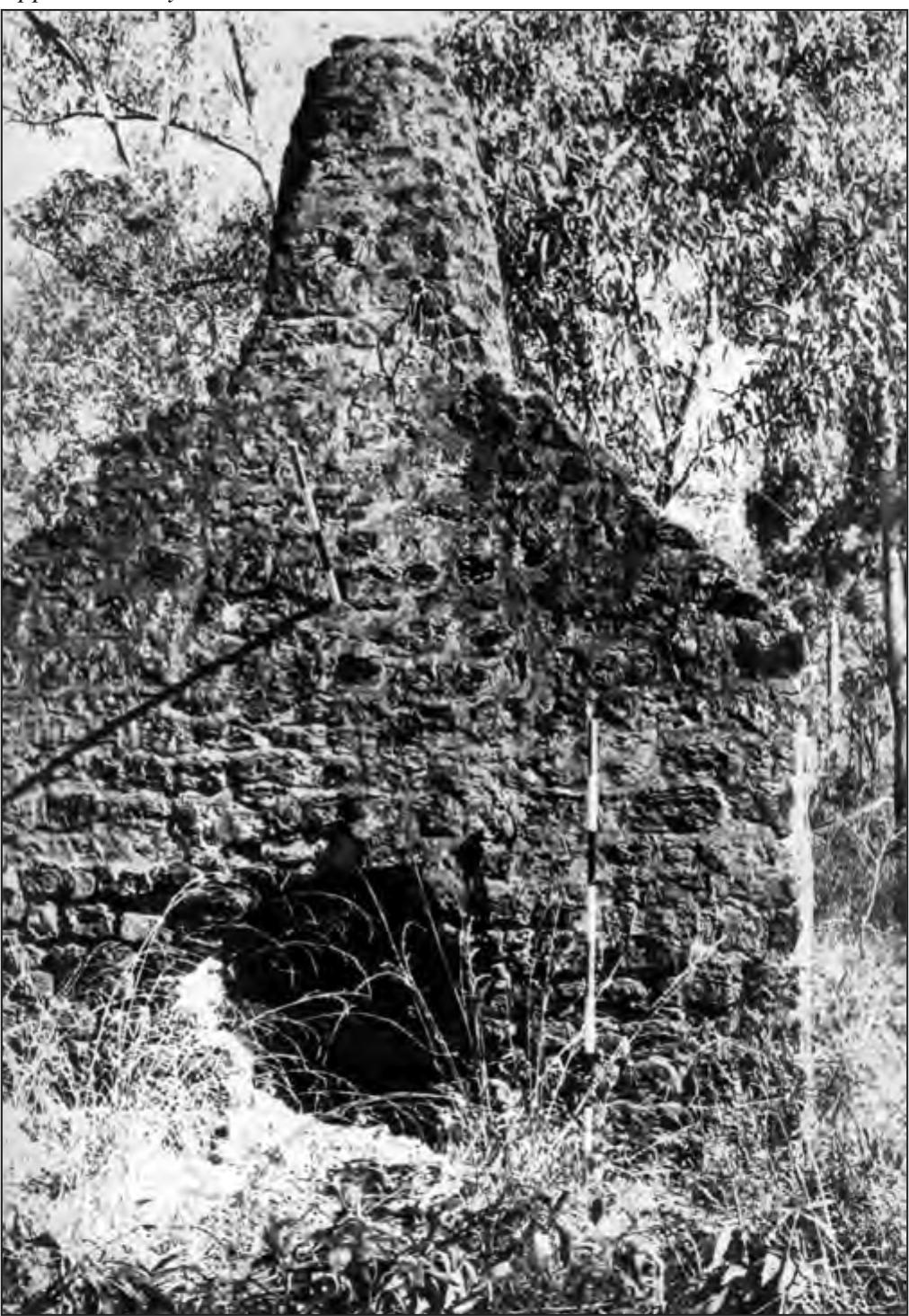 A black and white photograph of a round chimney. It's made of bricks and is surrounded by trees and tall grass.