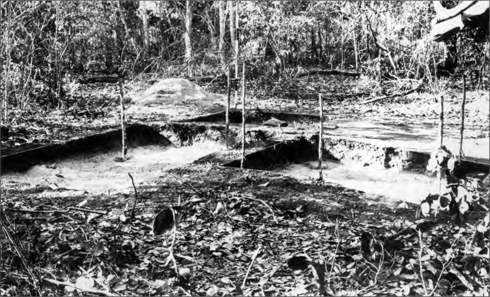 A black and white photograph of three squares of excavated land with a large stake stuck in each one. 