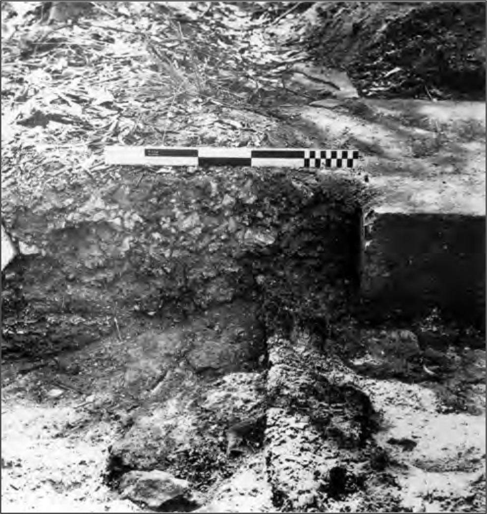 A black and white photograph showing the detail of entrance in northern wall showing the charred remains of the timber doorstep.