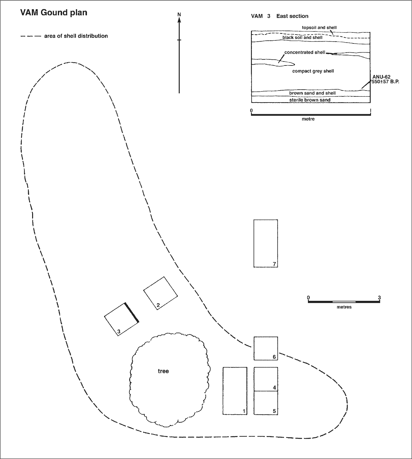 A map of the ground plan that looks like a boomerang. Within the plan is a large tree and six square excavation blocks. The stratigraphy shows the east section layers that contain: sterile brown sand, brown sand and shell, compact grey shell, concentrated shell, black soil and shell and topsoil and shell.