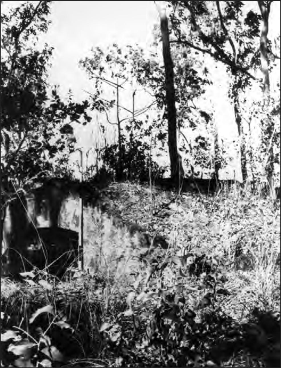 A black and white photograph of the bush with the magazine covered with grass.