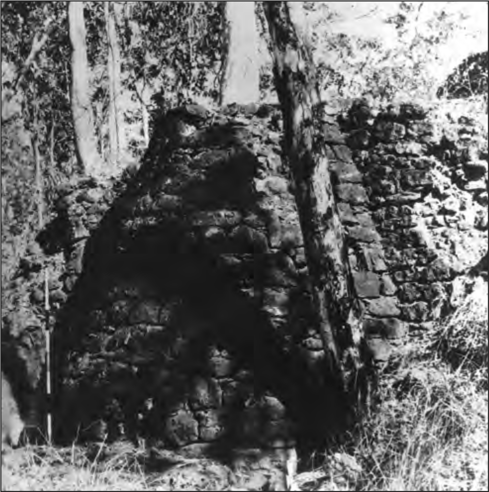 A black and white photograph of a kiln, showing how it was built into the 4 metre high bank and protected with a retaining wall on each side. The lower entrance to the kiln is in the shadow of the tree.