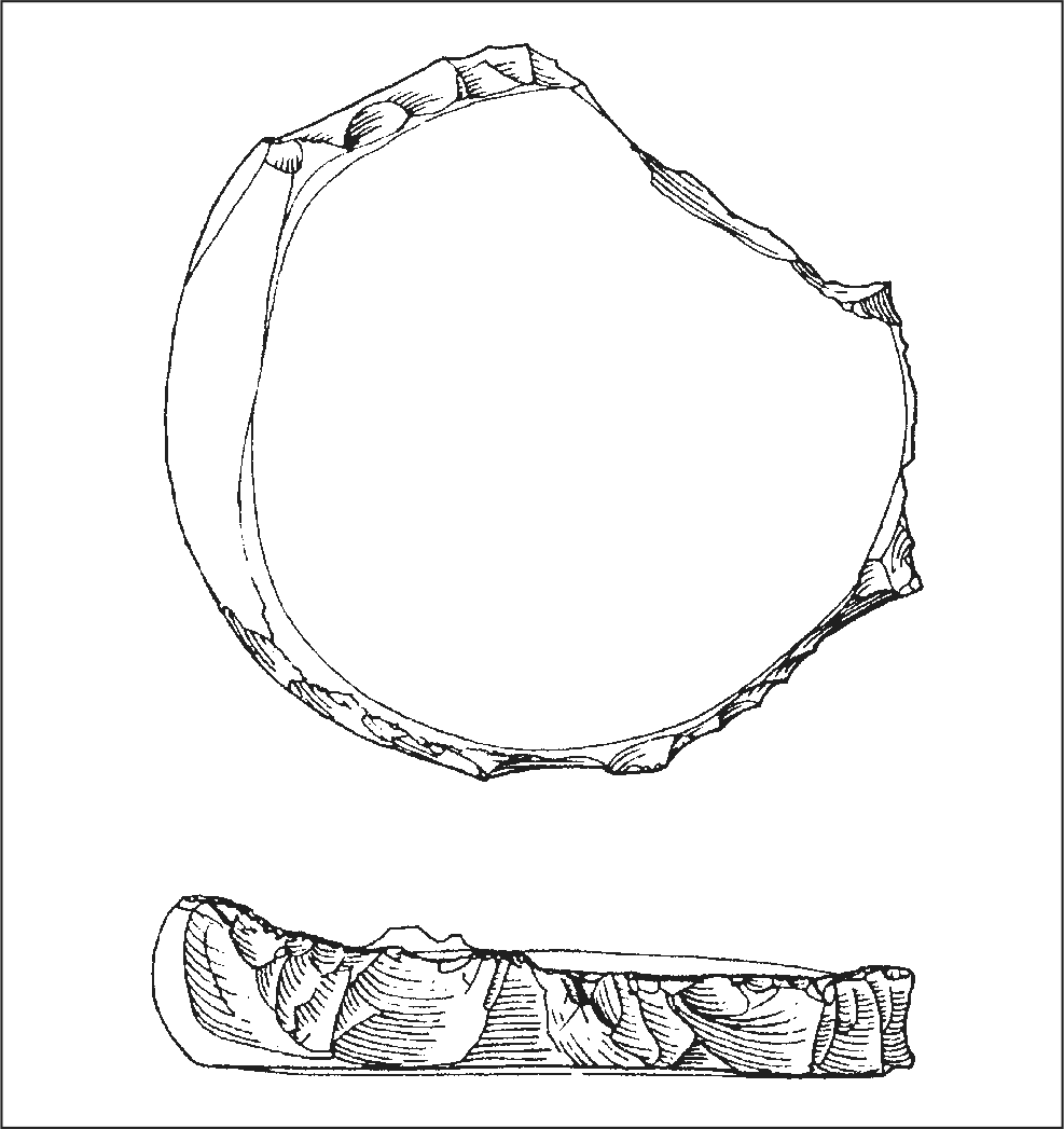 An illustration of a round artefact with part of its side cut off. Along its edges are sharp bumps. Another illustration features its broken side, showing curved patterns.