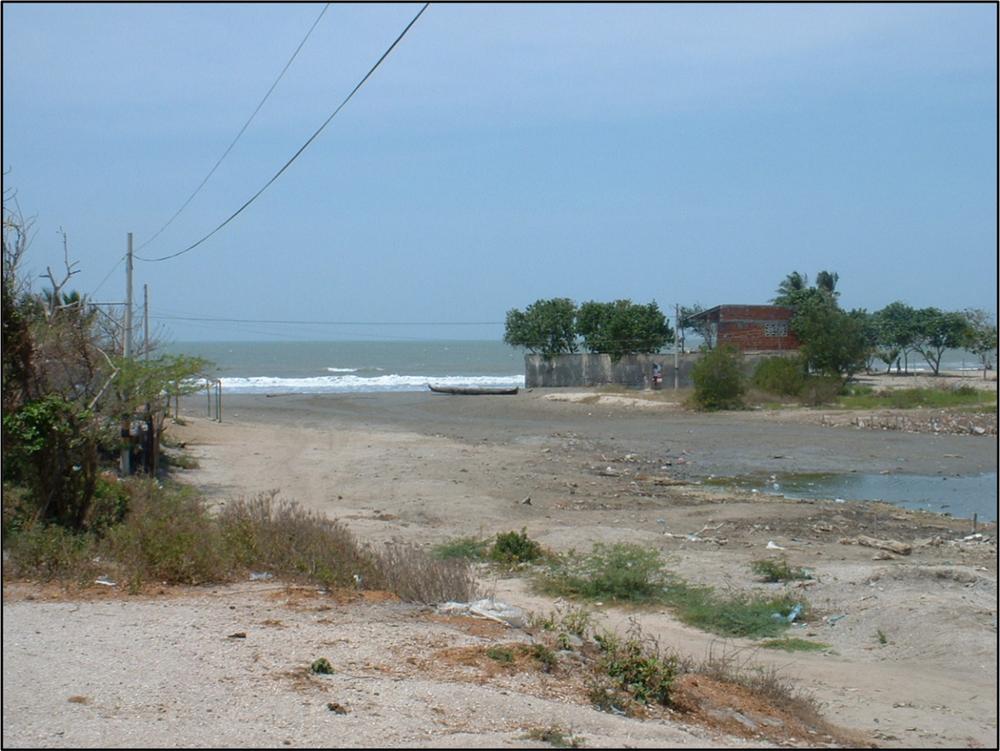 A photograph of a beach and water in the background.