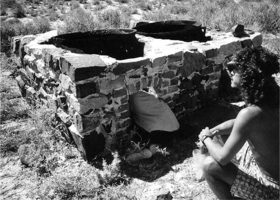 Image of Malus Island tryworks with a person crouching in front of them and looking at them.