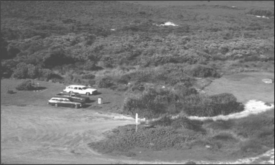 Image of Cheyne Beach site from look out