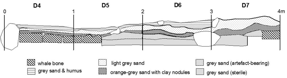 Stratigraphic Profile