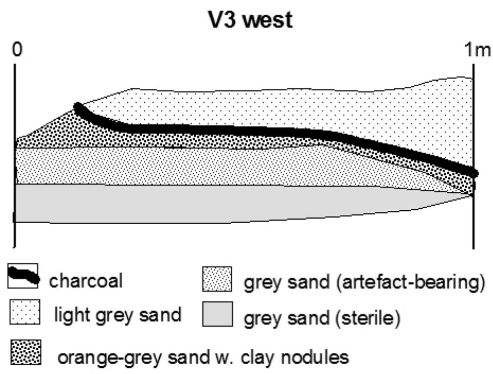 Stratigraphic Profile