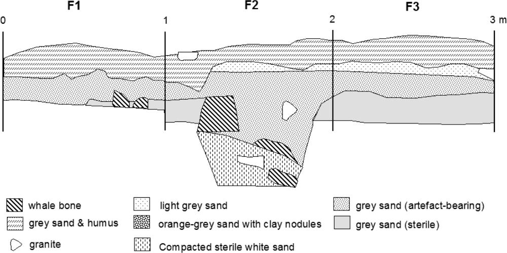 Stratigraphic Profile.