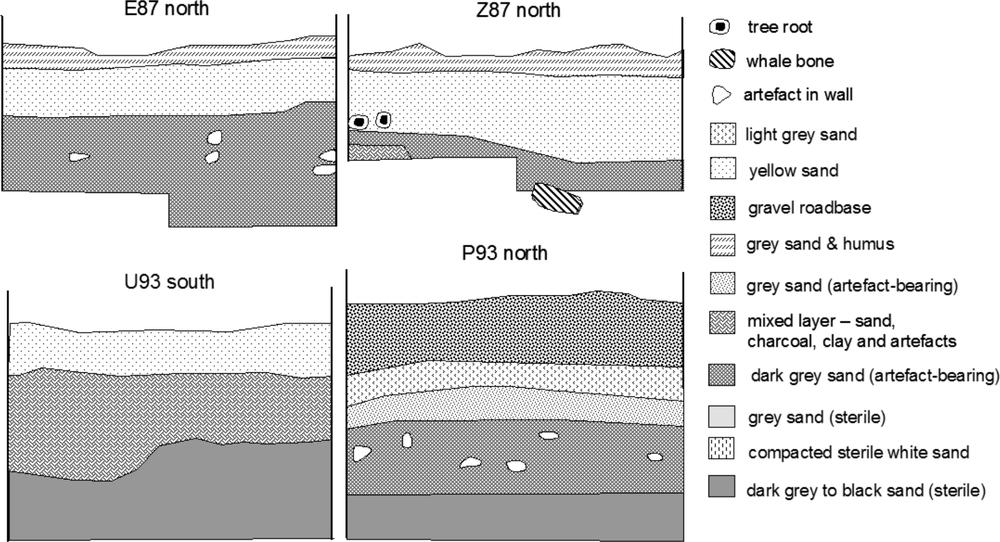 Stratigraphic Profile.