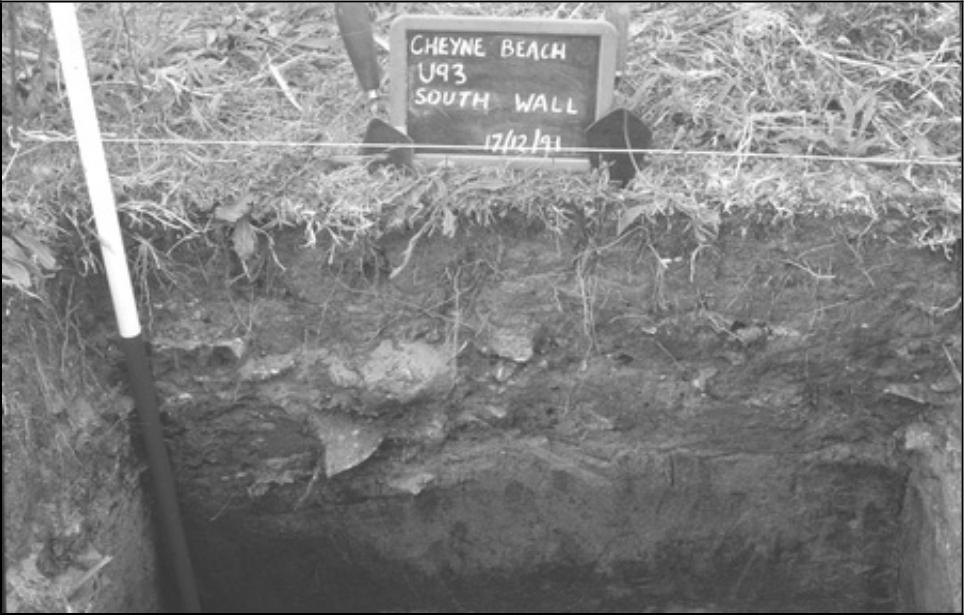 Image of Section E87 of Cyene Beach.