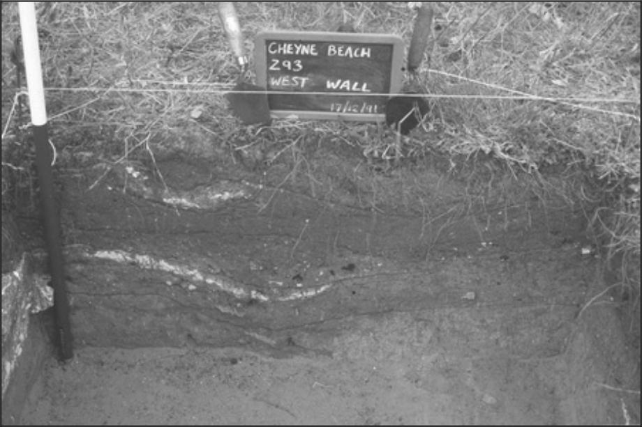 Image of Section Z93 of Cheyne Beach.