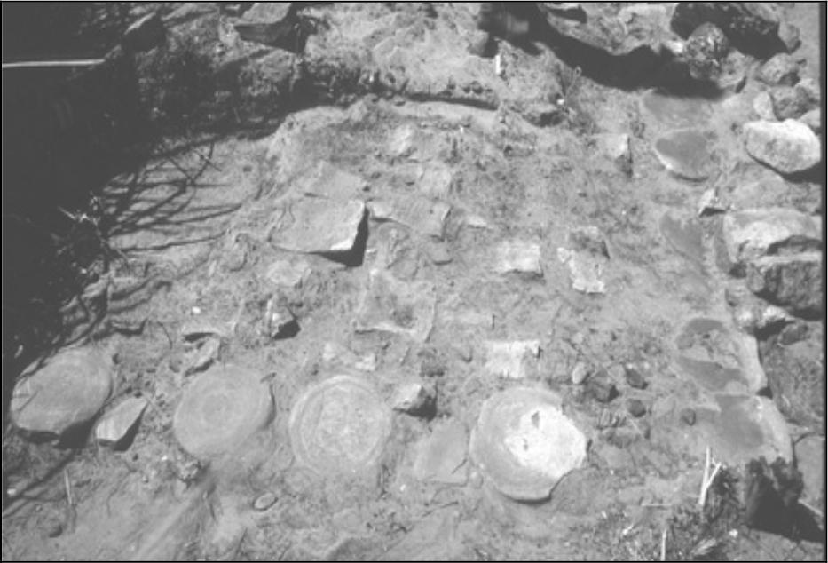 Image of Whale vertebrae floor in Structure One