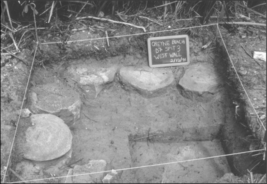 Image of Whale Vertebrae Flooring in southwest corner of Structure One.