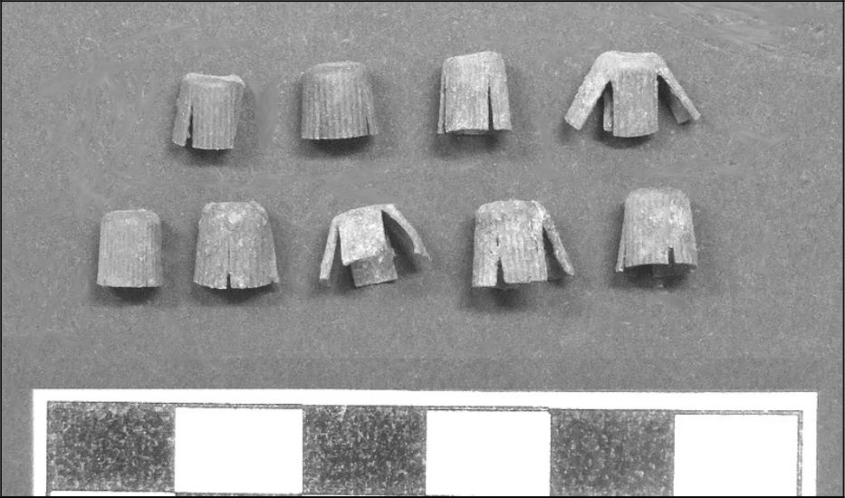 Image of numerous percussion caps.