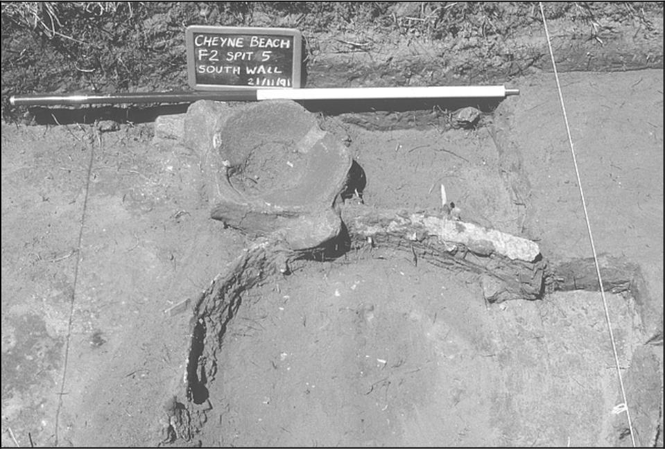 Image of barrel hoop in situ.