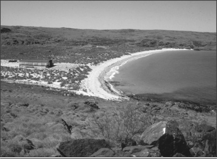 Image of Whalers Bay, Malus Island.