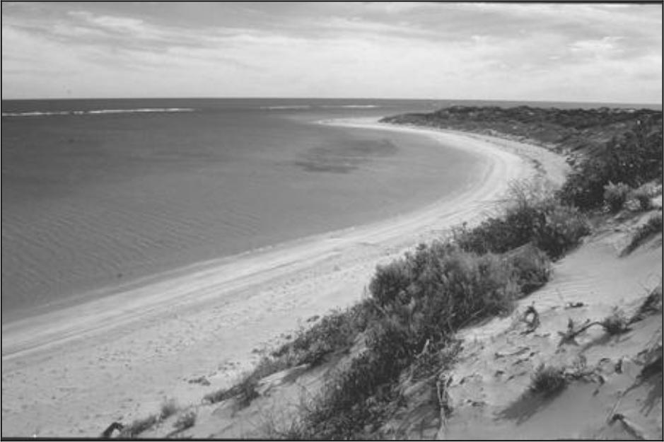 Image of Port Gregory.