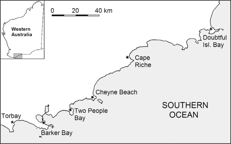 Map of south coast whaling stations.