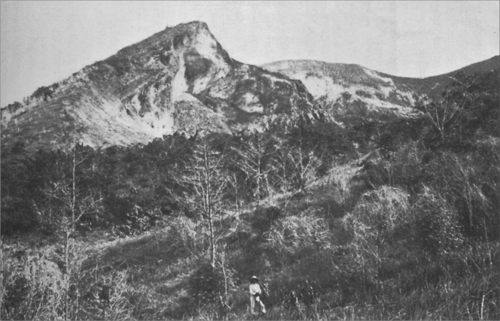 Black and white image of a volcano in the background and a grassy landscape in the front, there is a person standing in the centre foreground of the image.