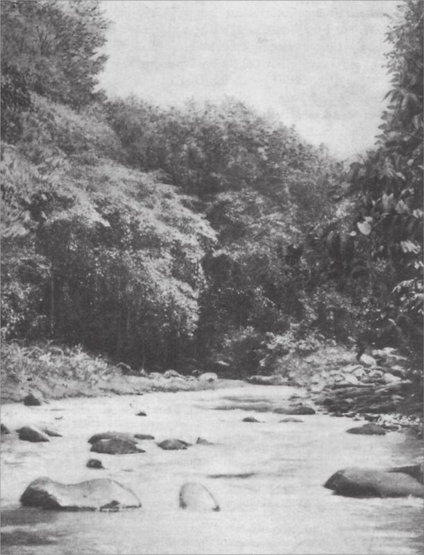 Black and white image of a river valley with trees in the background along the valley.