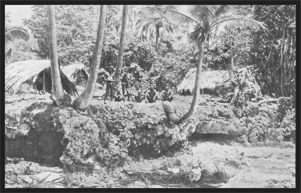 Black and white image of of an island with palm trees and a group of people sitting in the centre on a raised coral bank.