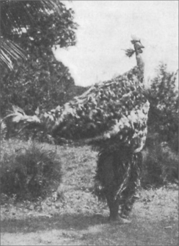 Black and white image of a person in a rooster mask.