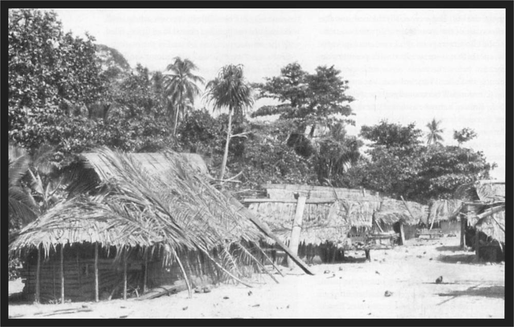 Black and white image of village huts.