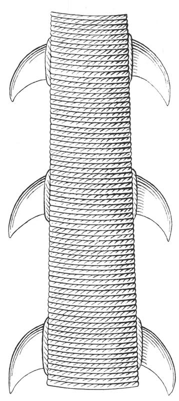 Sketch of an attachment of the barbs to the spear by binding.