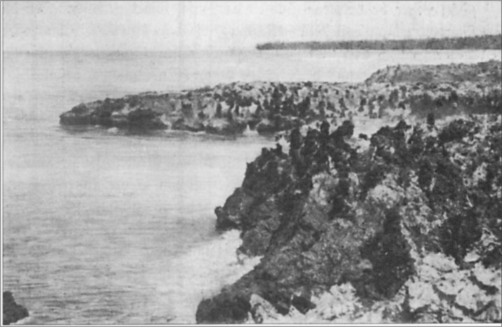 Black and white image of the island edge and water.