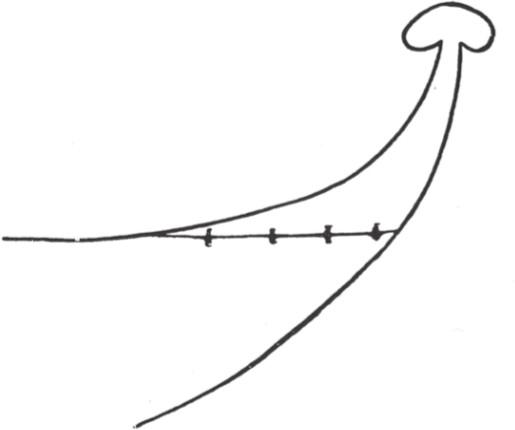 Sketch of Canoe Prow.