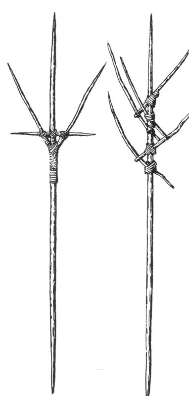 A sketch of multi-pronged spears.