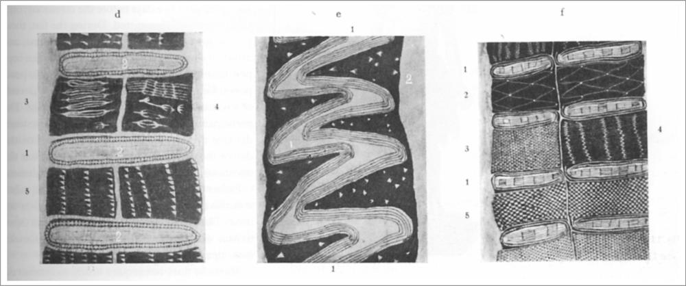 Various patterns of painted bark.