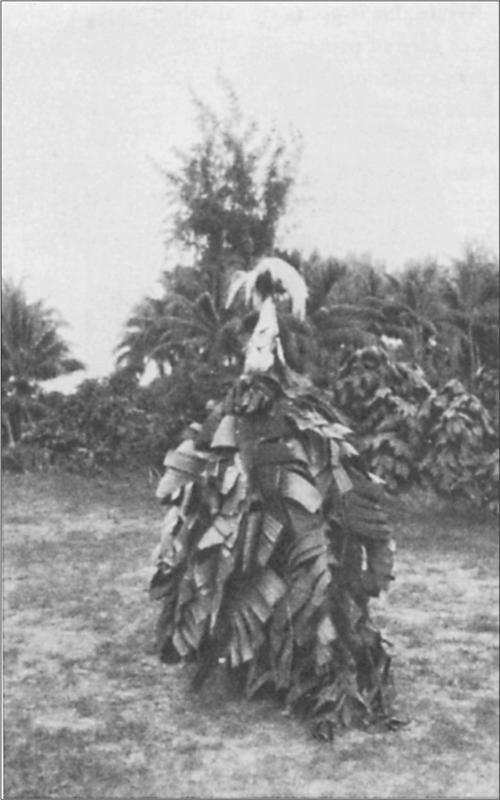 Black and white image of a ceremonial mask.
