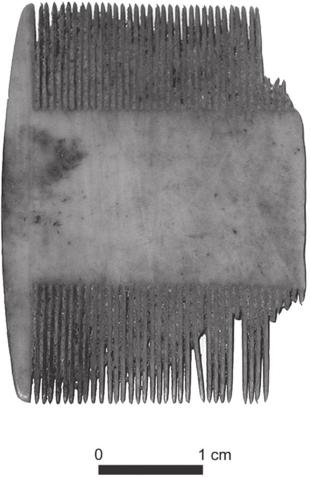 A black and white photograph of a bone-lice comb with bent and broken bristles along the edge.