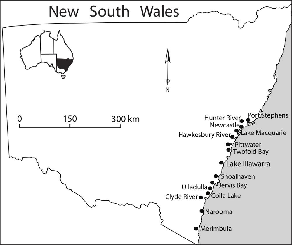 A map of the coast of New South Wales. The following areas are highlighted: Merimbula, Narooma, Clyde River, Coila Lake, Ulladulla, Jervis Bay, Shoalhaven, Lake Illawarra, Twofold Bay, Pittwater, Hawkesbury River, Newcastle, Hunter River and Port Stephens.