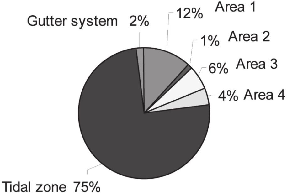 A pie chart showing artefact densities. Tidal zone is the largest section with 75%, followed by area 1 (12%), area 3(6%), area 4 (4%), gutter system (2%) and area 2 (1%).