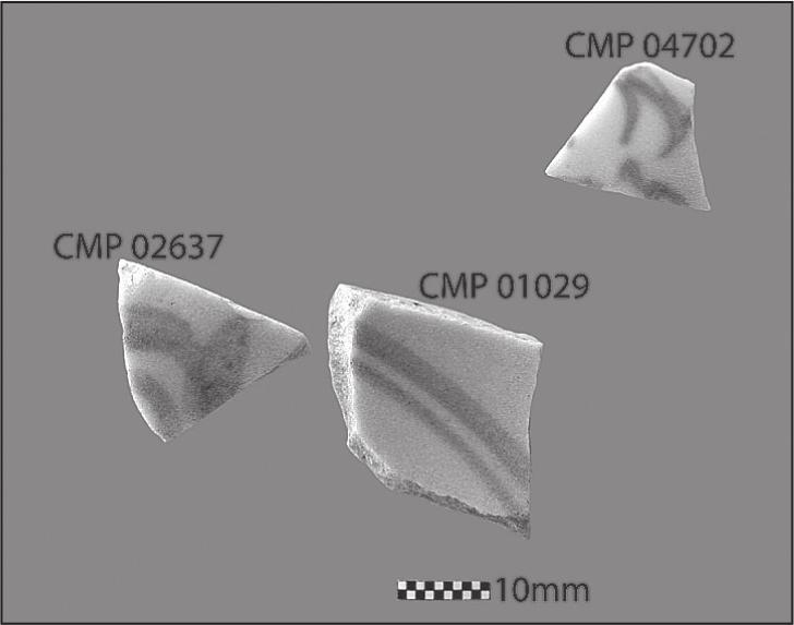 A black and white photograph of three shards with small curving patterns.