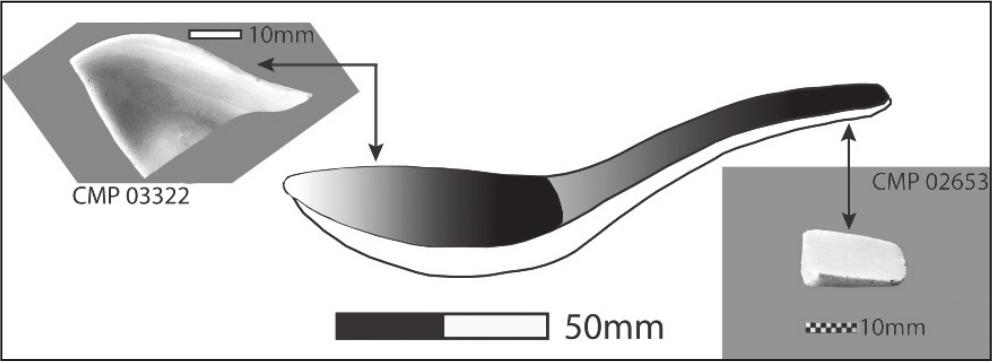 An illustration of a Chinese round spoon with two shards, one for the handle and the other for the curve of the mouth.