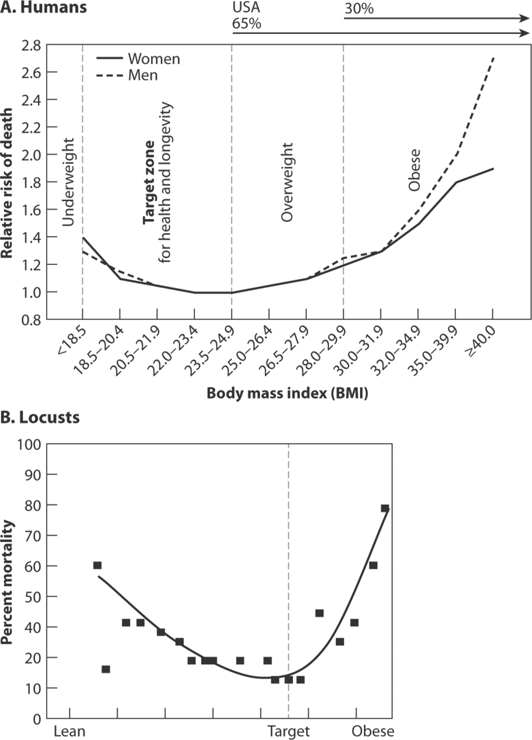 Two tables comparing the risk of death for obese humans, both men and women, as compared to locusts.  The top table shows a line graph in which obese men and women are at a higher relative risk of death.  Obese men are at a much higher risk than women of the same size.  The bottom grap is a line graph showing the mortality percentage or obese locusts.