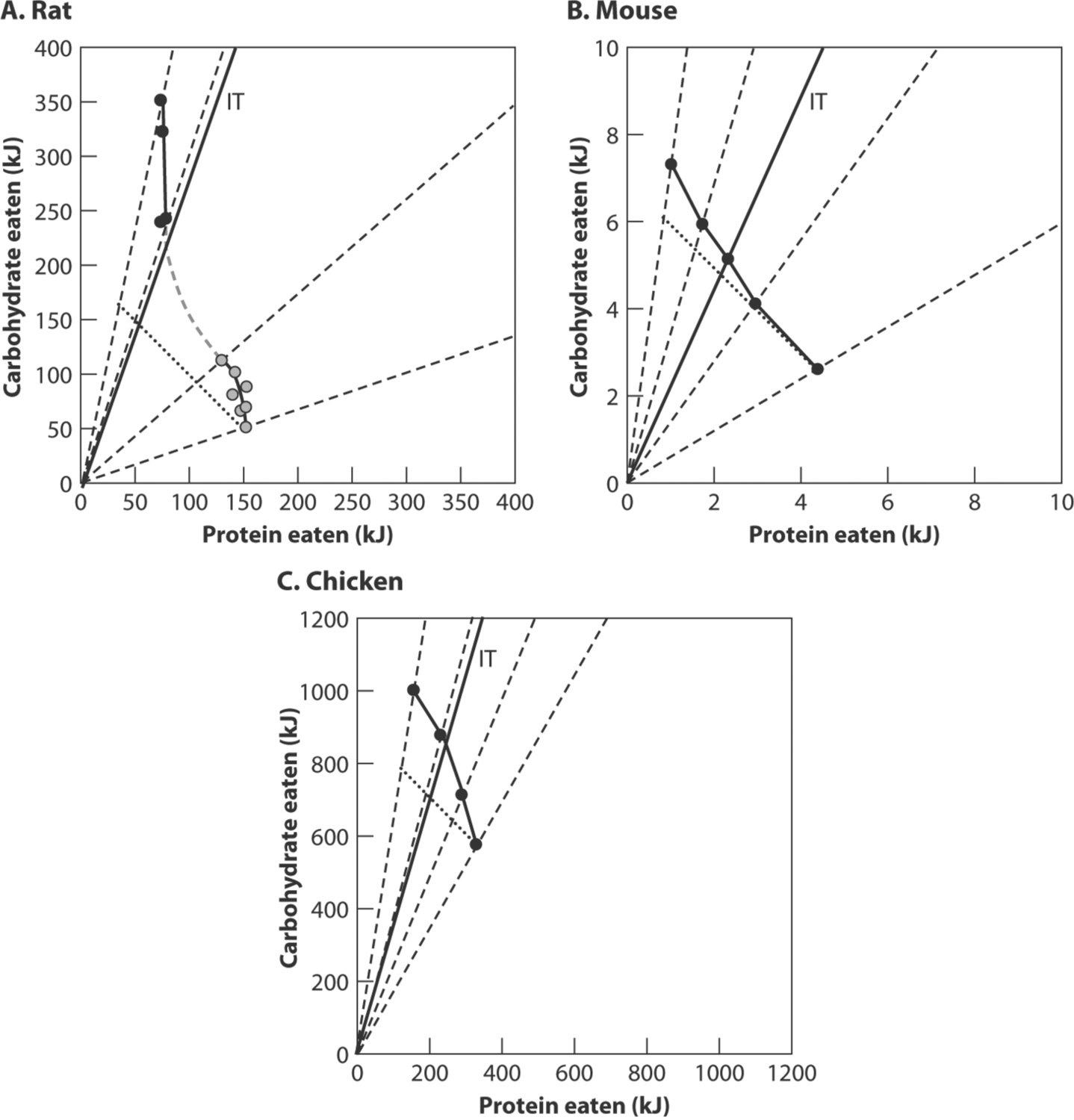 There are three line graphs showing the protein intake of rat, mouse and chicken when confined to diets trading off protein versus non-protein energy intake. The rat line graph n the top left shows a very high carboydrate and protein eaten.  The mouse line graph shows a lower carboyhdrate and protein intake. The chicken line graph at the bottom shows a very high carbohydrate intake, there is also a high protein intake compared to the rat and mouse, however nt in comparison to the chicken's own carbohydrate intake.