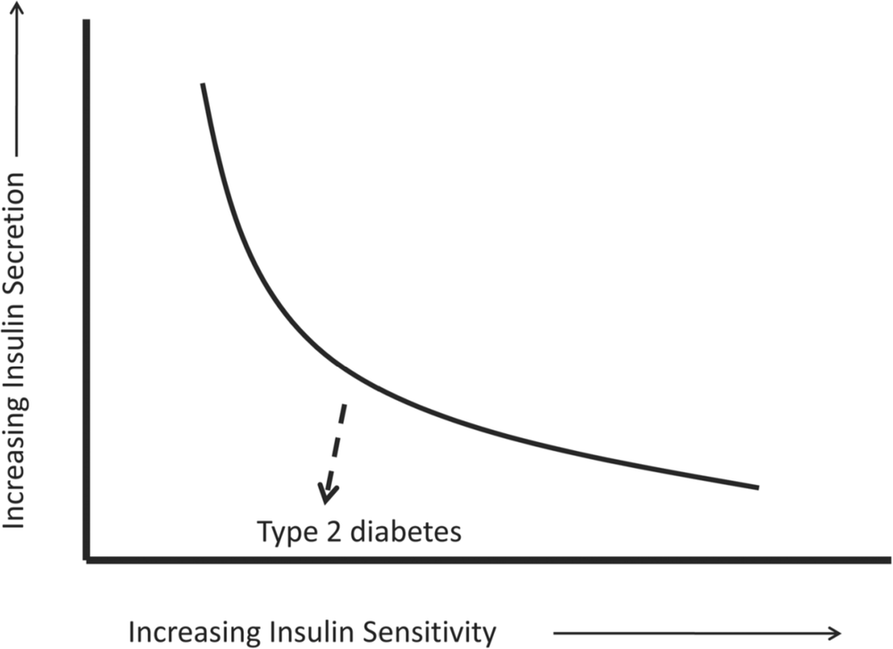 There is a line graph that compares increasing insulin secretion with increasing insulin sensitivity. The line in the graph starts from the top range of the increased insulin secretion and finished at the far right end of the increasing insulin sensitivity. There is an arrow pointing from this line down to the bottom graph line and it says type 2 diabetes.