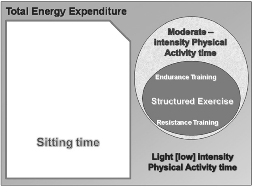 An image showing 'Total Energy Expenditure' On the left is a box saying sitting time. On the Right there are two circles, the inner circle is dark and says endurance training, structured exercise and resistance training. The outer circle says moderate intensity physical activity time.